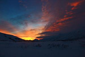 Too bad about the view. (Photo credit: Josh Wilson)