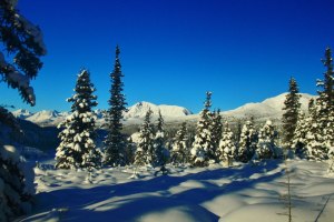 I know it doesn't look cold. But trust me. It was cold. (Photo Credit: Josh Wilson)