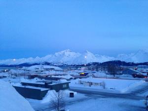 Valdez, as seen from the top of one of countless 40-plus-foot snow mounds in the center of town.