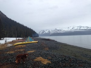 Paddling in Resurrection Bay is nice, but I prefer a state of perpetual drought.