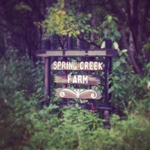 The Farm is identified by this often-driven-by sign, cleverly hidden by vegetation on the side of Farm Loop Road.