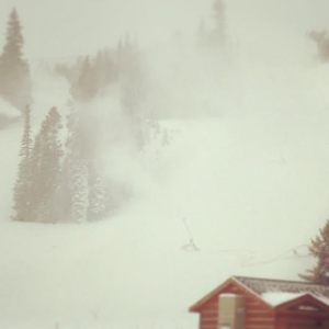 Let me take this opportunity to remind you that this photo was taken in a state with, statistically, 300 days of sunshine.