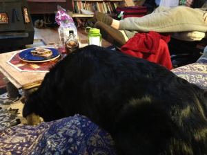 New Year's Day in a yurt, accompanied by french toast, sweatpants, and a ridiculous dog. I'm calling it a win.