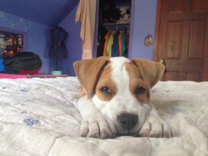 If this doesn't make you melt, you are some kind of monster.