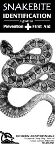 A somewhat unnerving (but very informative!) pamphlet put out by Jeffco Open Space, which sincerely hopes you will avoid rattlesnakes.