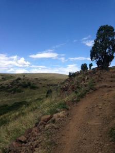 The top of Cottonwood Canyon, where I have more than once had to dodge a rattlesnake.