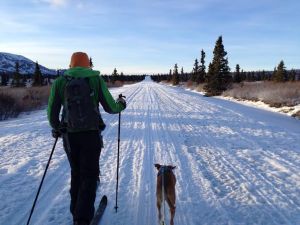 Finding places that feel like home, Year 3.